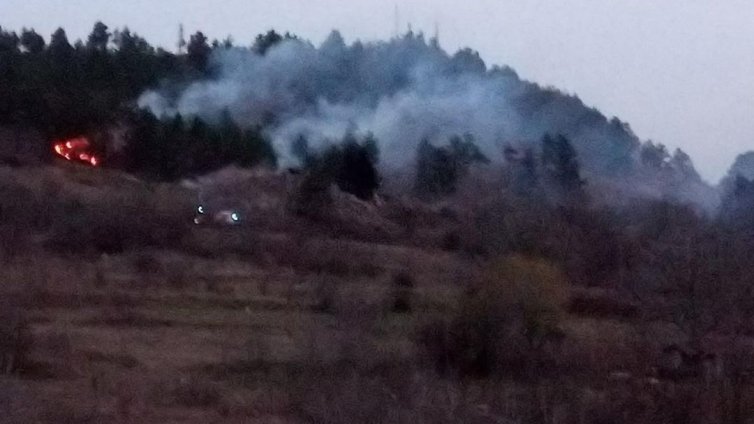 Запалени гуми предизвикаха пожар край Белослав