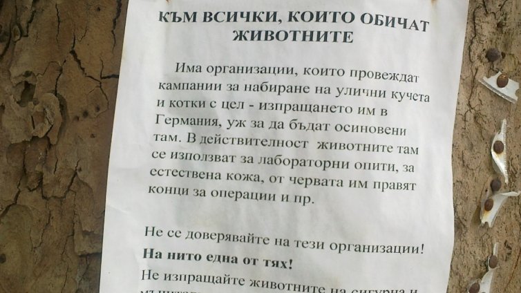 Обява предупреждава за трафик на кучета и котки в Германия
