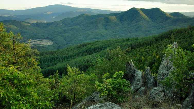 Умереният климат у нас е вече в историята