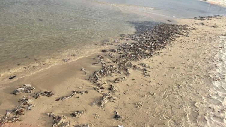 Запушена дъждовна решетка осея Южния плаж във Варна с мокри кърпички и пластмасови отпадъци