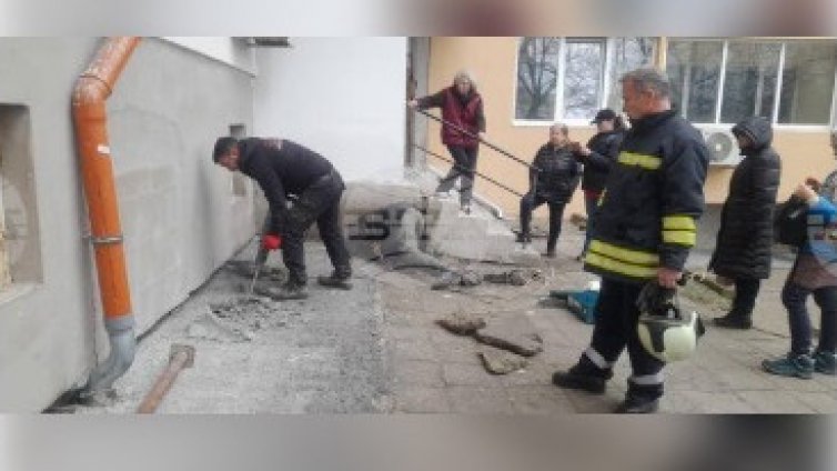 Спасиха коте, зазидано при саниране на блок в Бургас