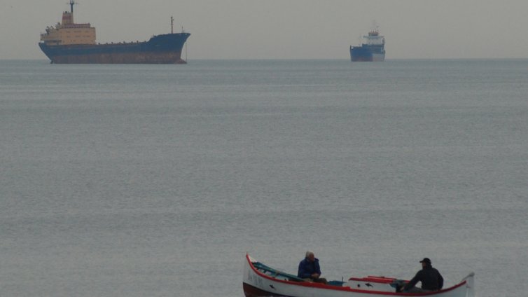 Нова мода: Златна треска за бяла мида в Черно море!
