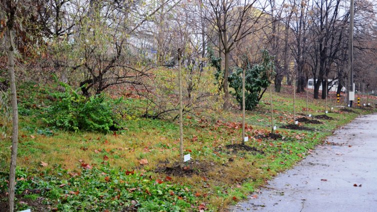 Зелените площи във Варна влязоха в регистър