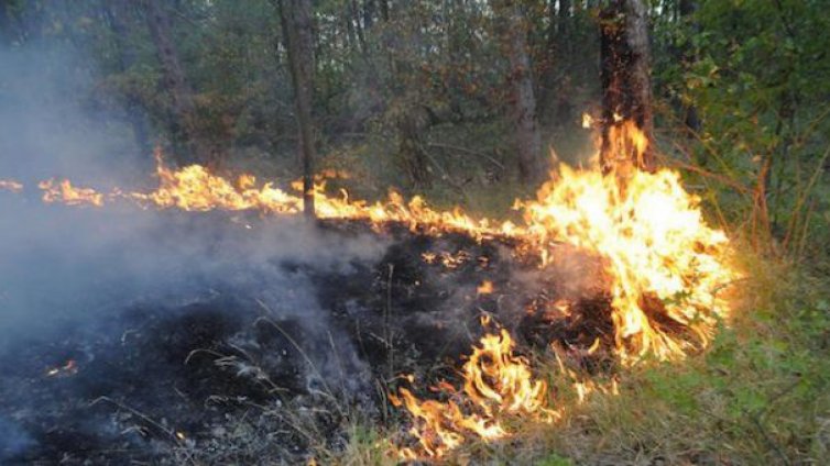 Кресна организира национална кампания за възстановяване от пожара