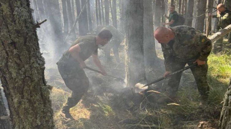 Пожарът в "Рила" е локализиран