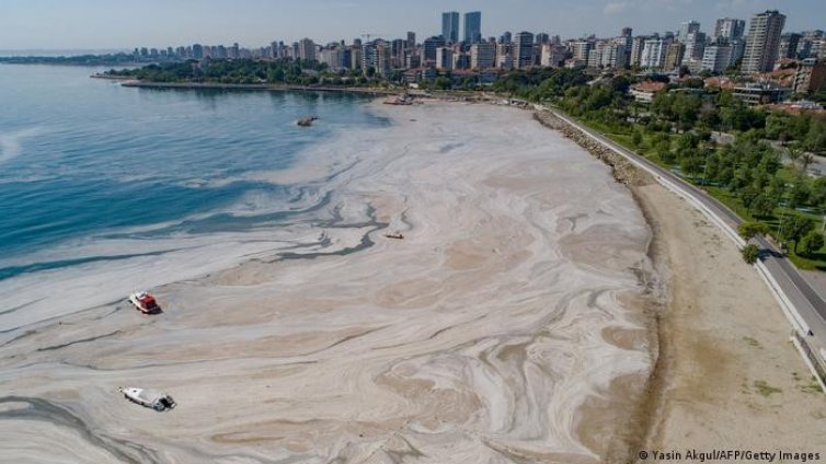 Откъде се взе това бедствие? "Морски сополи" превзеха Мраморно море