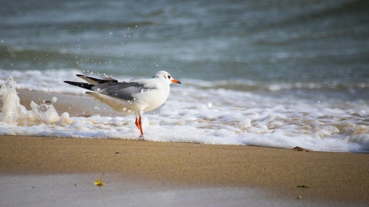 Времето днес във Варна: Предимно облачно, с температури до 13°