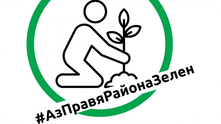Планират засаждането на 435 нови дървета в центъра на Варна