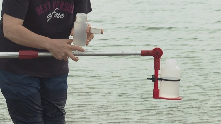 МОСВ: Морската вода е чиста