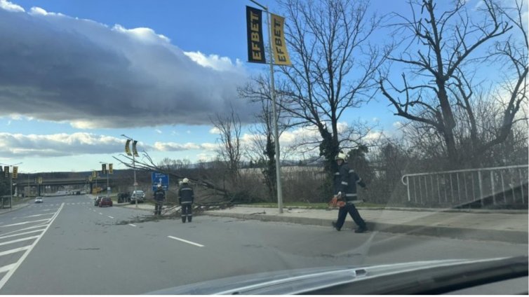 Ураганният вятър създава огромни щети в цяла България