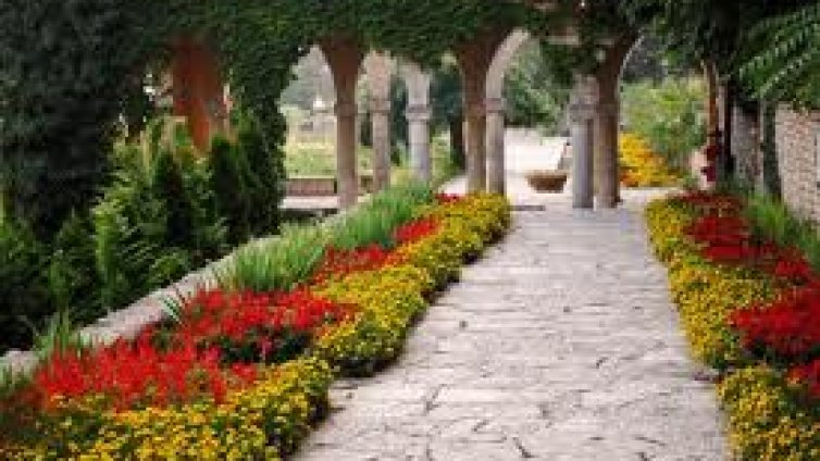 Филми от 151 държави искат „В Двореца“ в Балчик