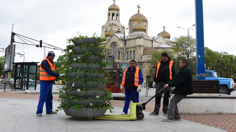 Поставят цветарниците в центъра на Варна