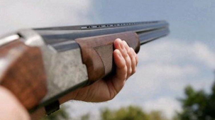 Убитите във Великово кучета са били малки, скимтели и дразнели извършителя