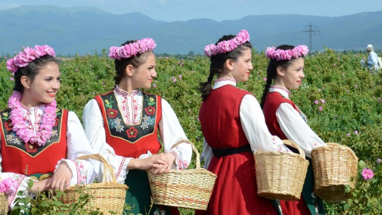 Очакваме 3 тона розово масло