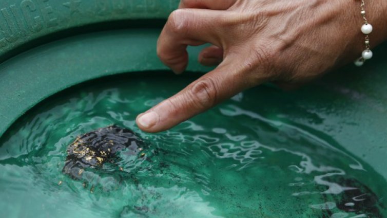 Златна треска край реките на България