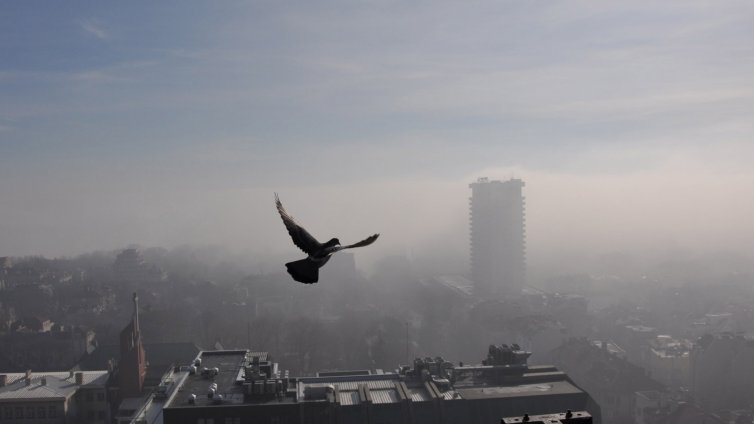 Днес: Ще бъде студено, но и слънцето ще ни радва