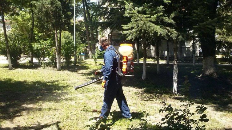 Във Варна започва обработка срещу комари