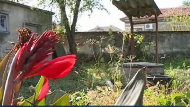 На 28 ноември изтича срокът за задължителната регистрация на кладенците в България