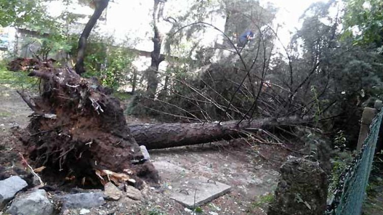 Хиляди жители на Кирково са пострадали от вчерашната буря