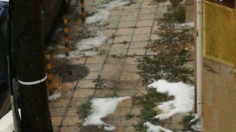 Градушка и пороен дъжд удариха Варна (СНИМКИ)