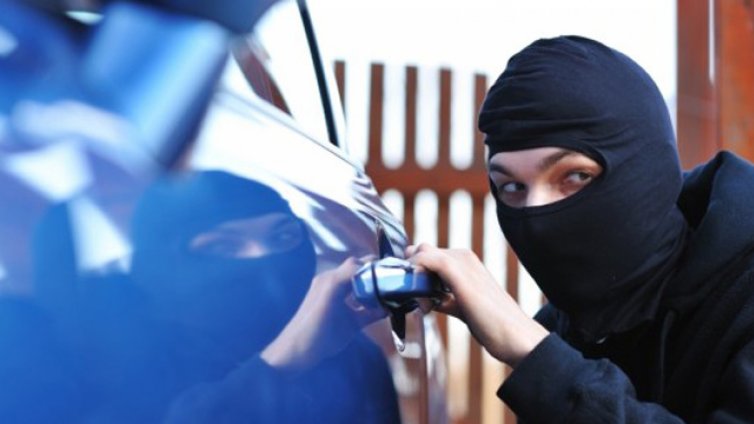 Около 1000 коли годишно изчезват пред кръчми и барове