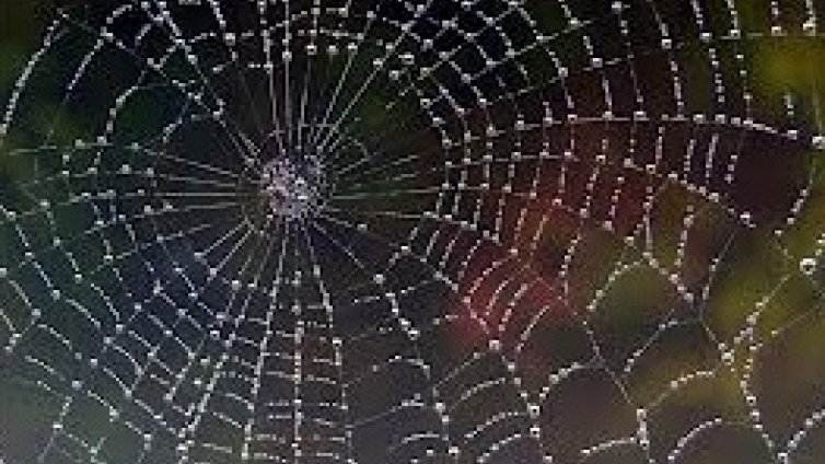 Паяжина ще задържа самолет