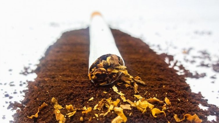 Налозите върху цигарите генерират близо 10% от приходите в бюджета