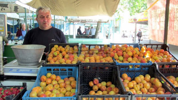 Първите кайсии от ранните сортове тръгнаха по 3 лв./кг