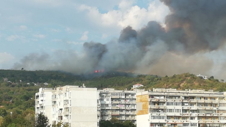Продължава борбата с пожара край Каменар, включиха се и доброволци