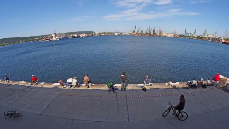 От Черно море се вади повече незаконен калкан