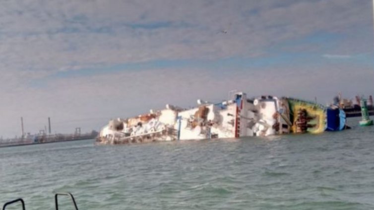 Настаниха в приют 180 овце, корабокруширали в Румъния
