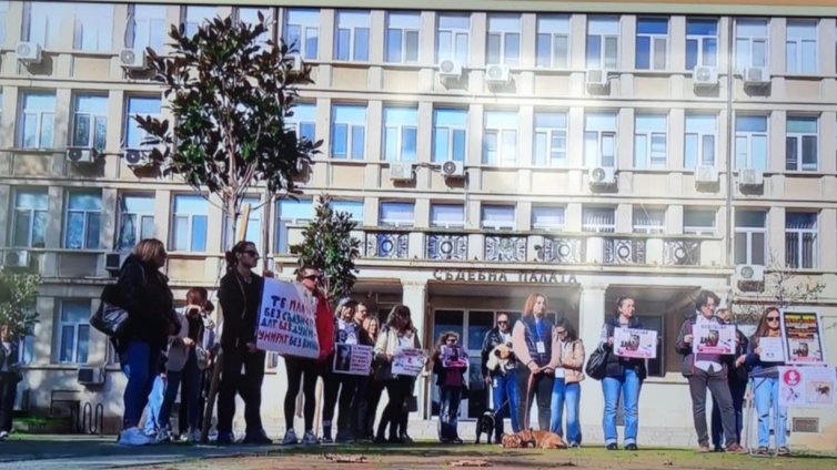 Във Варна: Протестираха срещу насилието над животните