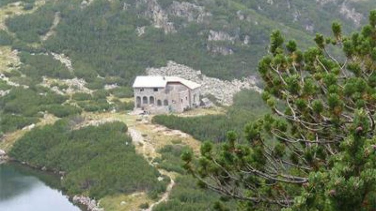 Планински спасители търсят млад мъж