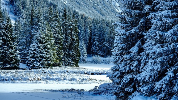 Ето кога настъпва астрономическата зима