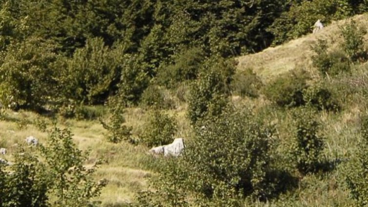 Хлапе се изгуби край Рожен, скитало се 8 км  