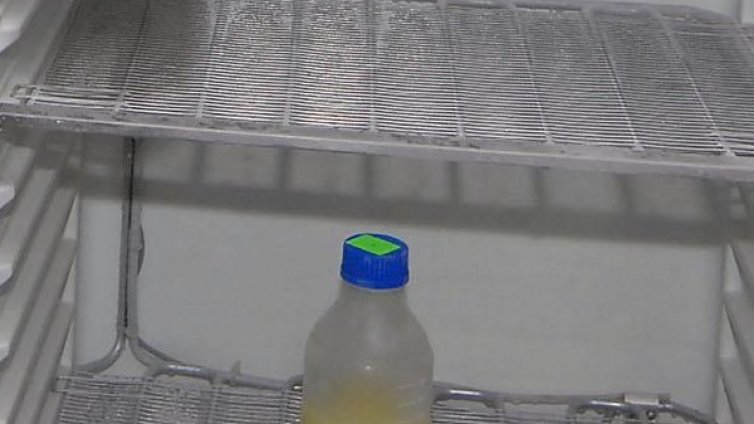 Експеримент установи: Вместо при -20° дизелът замръзва при -13°