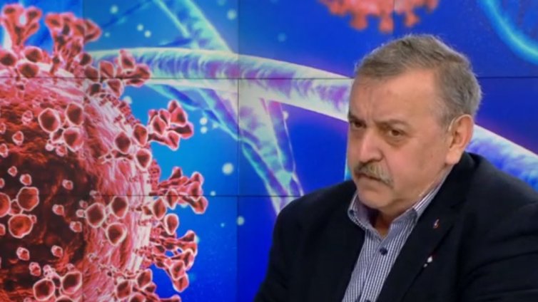 Проф. Кантарджиев: Вирусът Чандрипура се пренася от папатаци