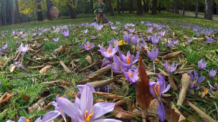 Слънце и приятни температури днес във Варна