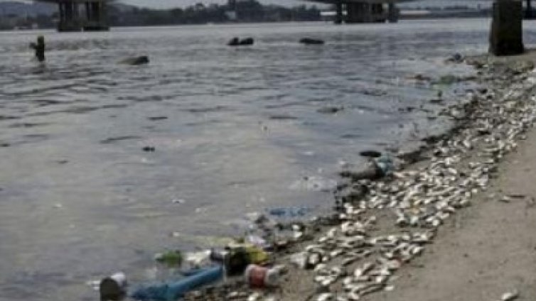 Водите в залива в Рио са опасни за здравето