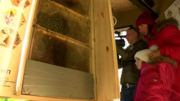 Музей на пчелите отваря врати в София