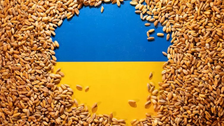 Парламентът разреши вноса на зърно от Украйна