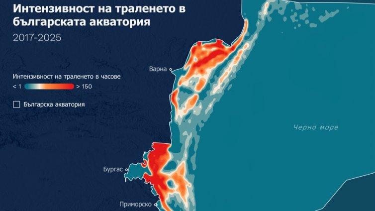 За Деня на Черно море: „Грийнпийс“ показва къде в България се трали най-много