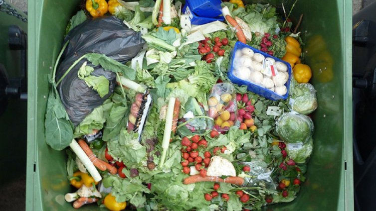 1,5 млн. българи гладуват, а тонове храна отиват на боклука  