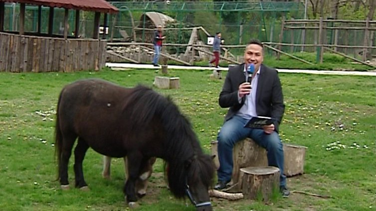 "Щрихи от утрото" (13.04.2017) - Великден в зоопарка