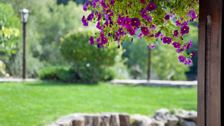 След дъждовната седмица – слънчев уикенд