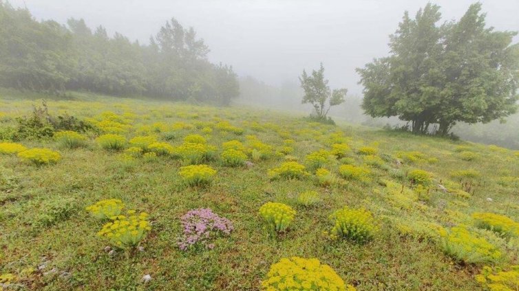 България отбелязва Международния ден на биосферните паркове