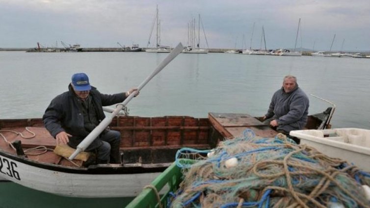 Рибари вече се озъртат за калкан и писия