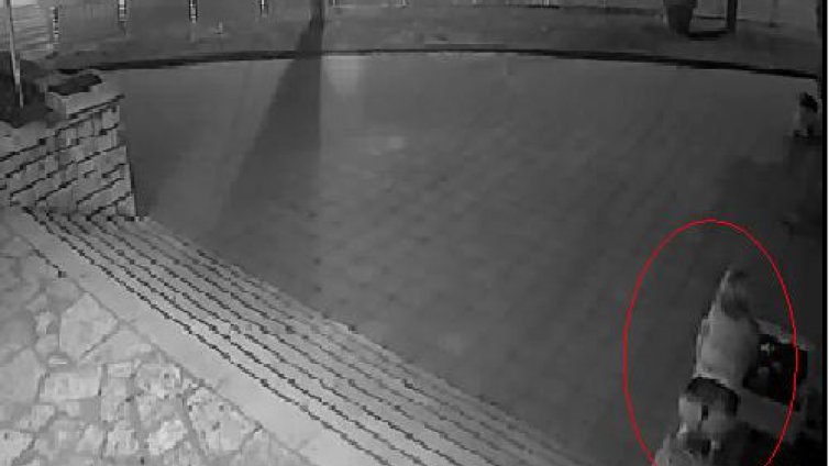 (Видео) Секси мацки, крадат цветя в &quot;Аспарухово&quot;