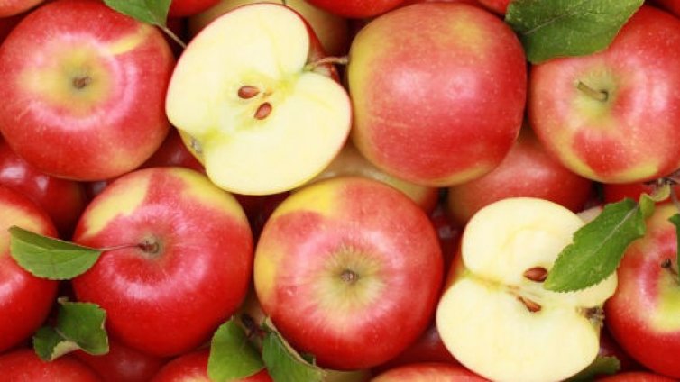 Земеделци: Вносът на ябълки убива родното производство