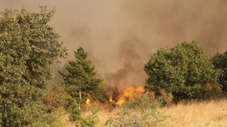 Задържаха баща и син заподозрени за пожара край хасковското село Българска поляна
